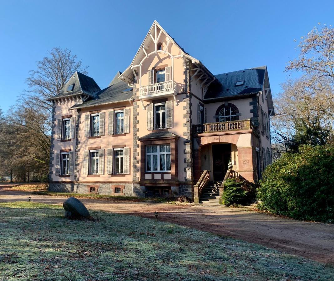 Demoiselle Des Roches Apartment Ramonchamp Bagian luar foto