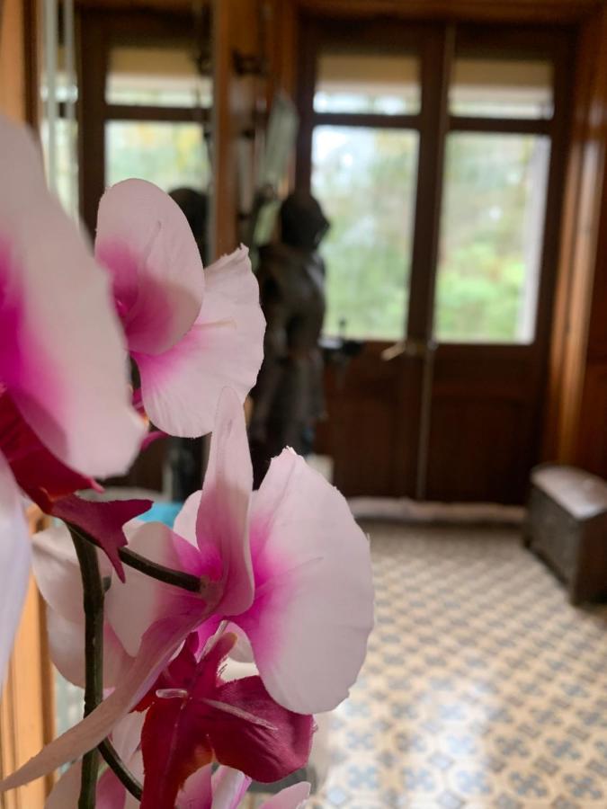 Demoiselle Des Roches Apartment Ramonchamp Bagian luar foto