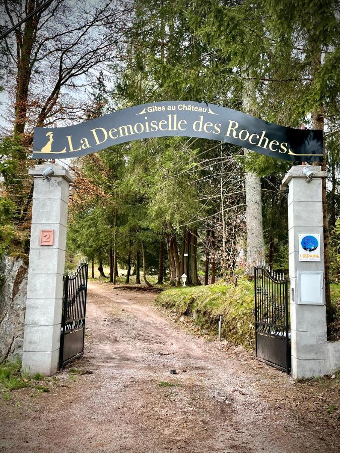 Demoiselle Des Roches Apartment Ramonchamp Bagian luar foto