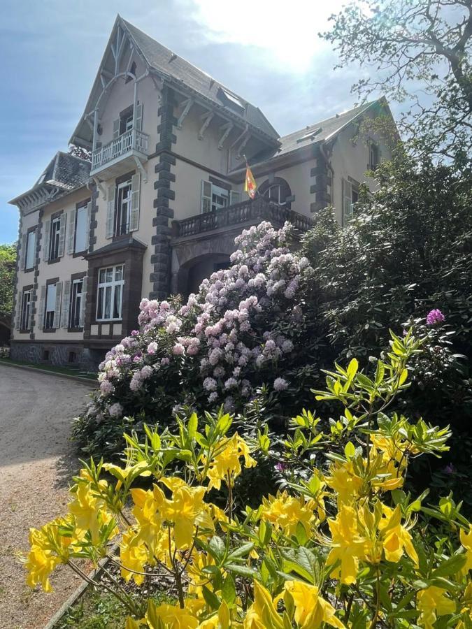 Demoiselle Des Roches Apartment Ramonchamp Bagian luar foto