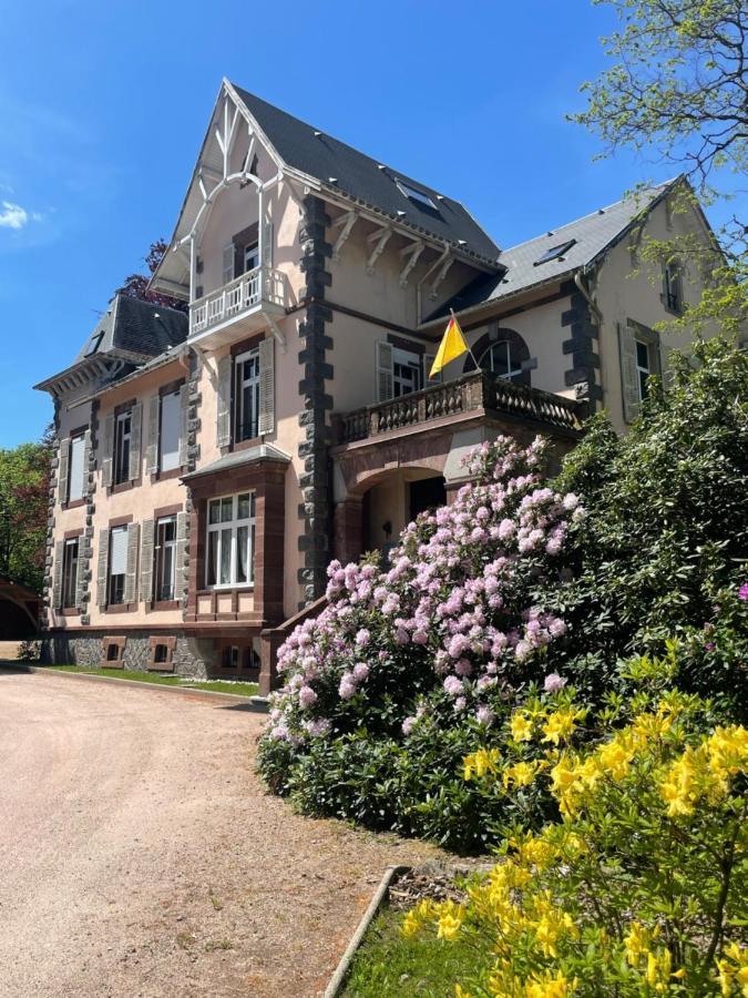 Demoiselle Des Roches Apartment Ramonchamp Bagian luar foto
